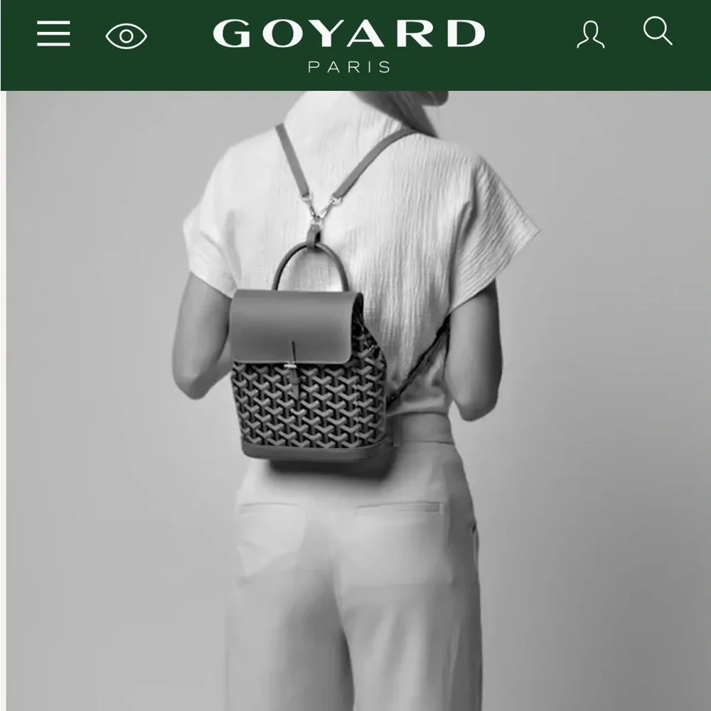 Goyard Alpin Mini backpack - Picture 16 of 17